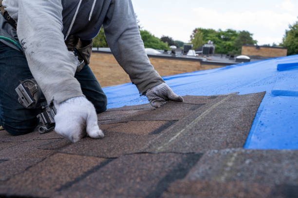 Best Roof Repair Services  in Jamesburg, NJ