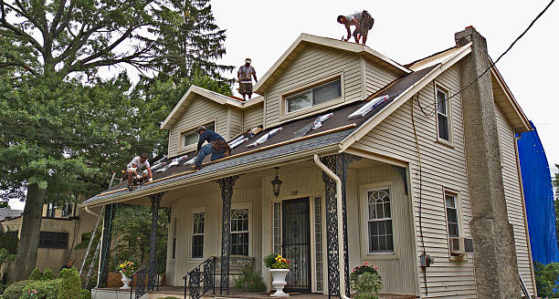 Best Roof Waterproofing Services  in Jamesburg, NJ